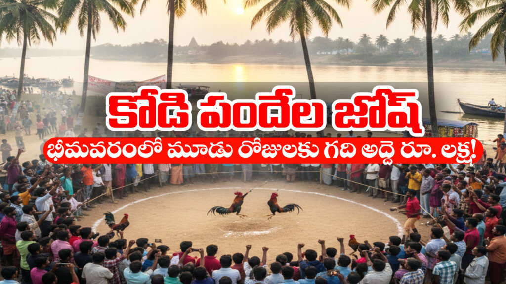 Chicken Pandela's passion.. Hotels and lodges in Godavari district are full to the brim