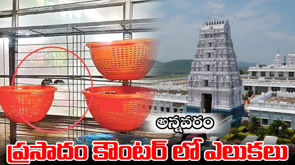 Annavaram: Rats at the prasadam counter.. two employees suspended