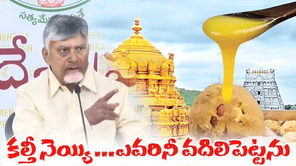 Adulterated ghee...will not spare anyone: Chandrababu warns-DTv Telangana