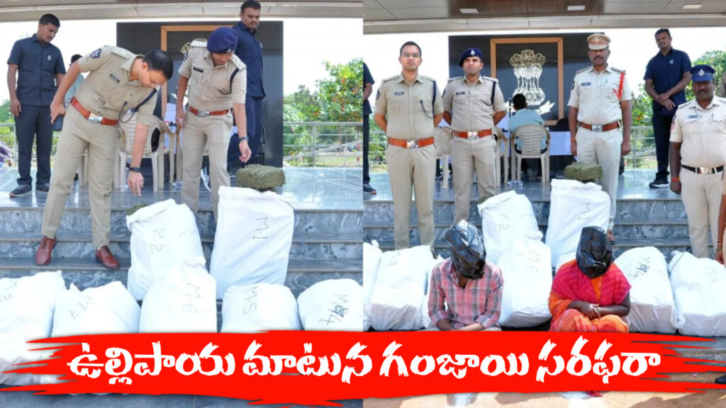 Pushpa Range Smuggling: Supply of cannabis under the guise of onions_DTv Telangana