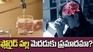 ఫ్లోరైడ్‌ వల్ల మెదడుపై ప్రభావం పడుతుందా? నిపుణులు ఏం చెబుతున్నారంటే!