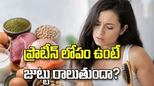 ప్రొటీన్ లోపంతో జుట్టు రాలుతుందా? నిపుణులు ఏమంటున్నారంటే!