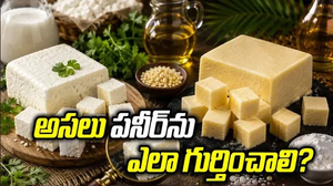 అసలైన పనీర్‌కు, నకిలీ పనీర్‌కు తేడా ఏంటి? ఎలా గుర్తించాలంటే!